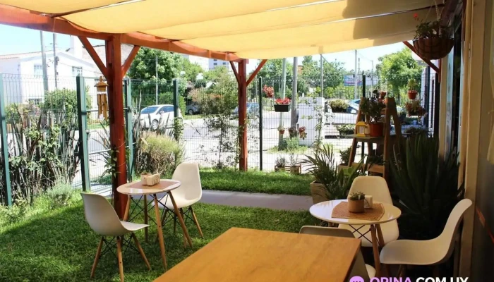 Amorcito Sabores Vegetarianos -  Todas - Maldonado