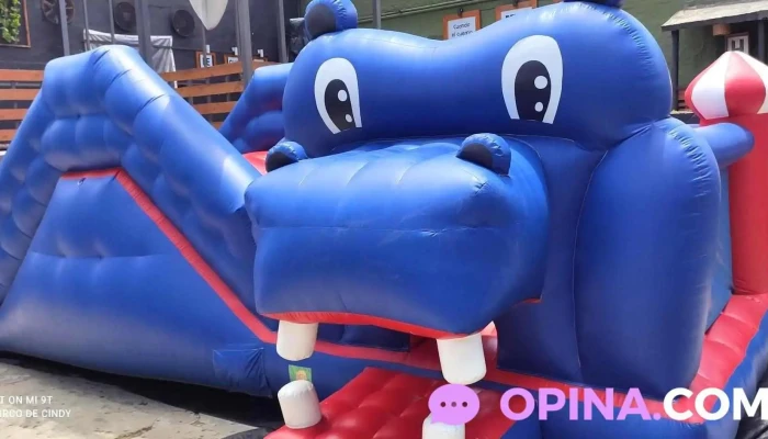 Ana Decoplantas -  Promocion - Durazno