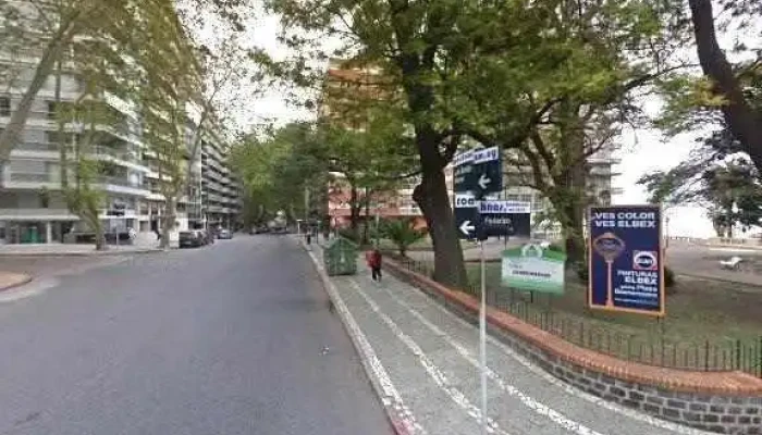 Ana Losada Propiedades -  Numero - Montevideo