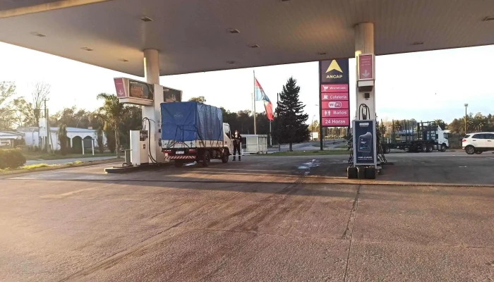 Ancap - 85000 Flores