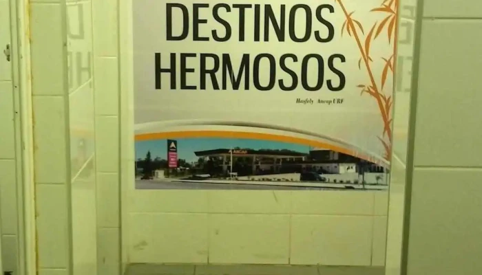 Ancap - 85000 Flores