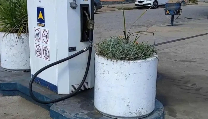 Ancap Casupa -  Videos - Casupá