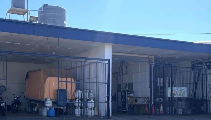 Ancap -  Comentario 2 - Artigas