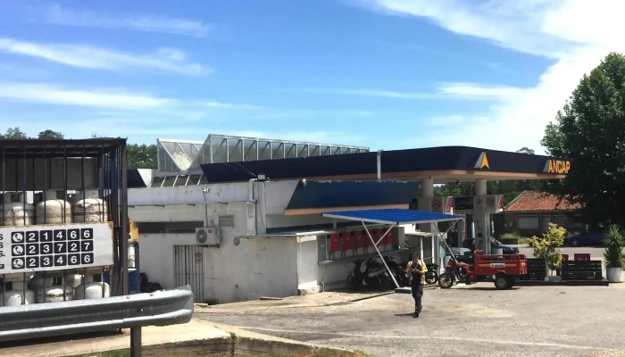 Ancap -  Comentario 8 - Lavalleja