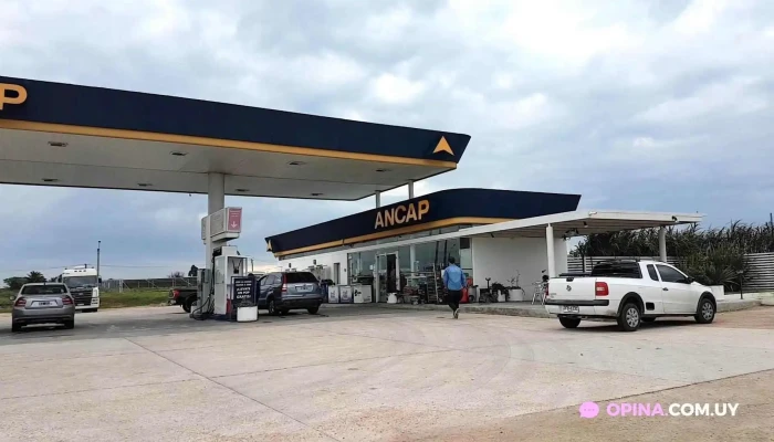 Ancap Libertad -  Videos - Libertad