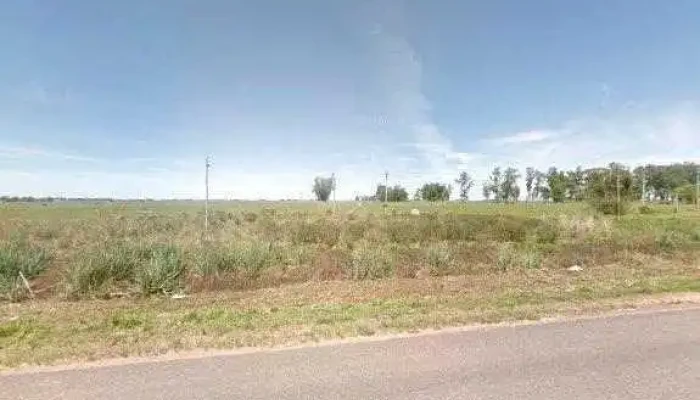 Ancap Noblia -  Abierto Ahora - Isidoro Noblía