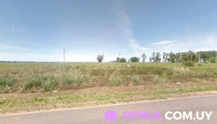 Ancap Noblia - Isidoro Noblía