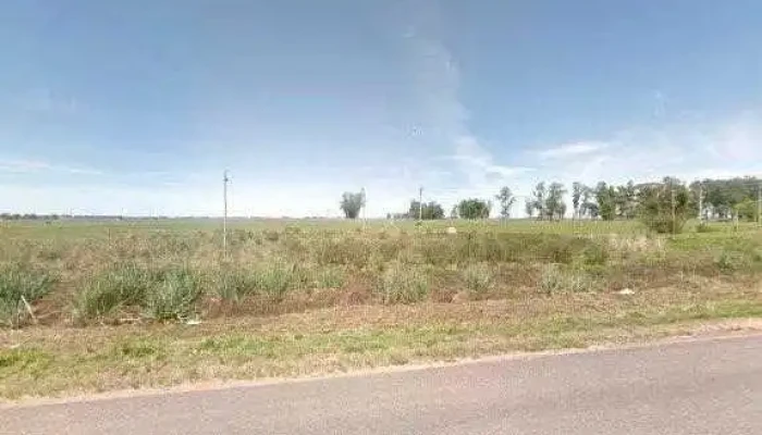 Ancap Noblia -  Todo - Isidoro Noblía