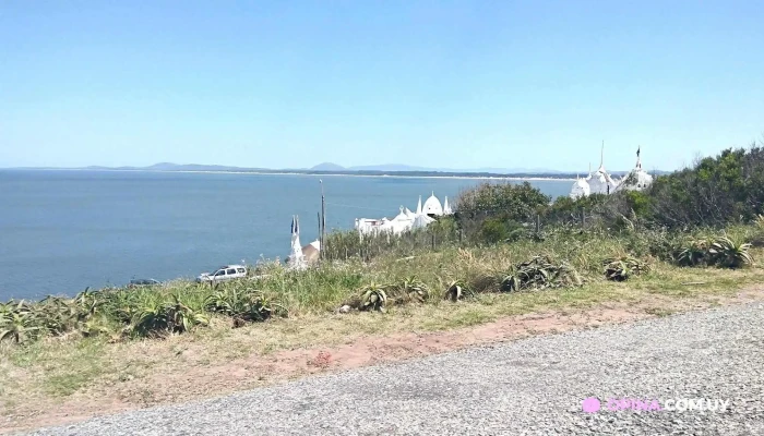 Ancap -  Todo - Maldonado