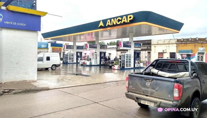 Ancap -  Todo - Rocha