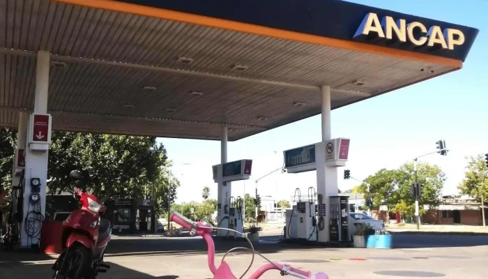 Ancap -  Todo - Durazno