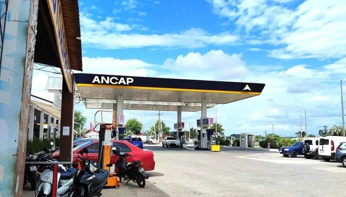 Ancap -  Todo - Rocha