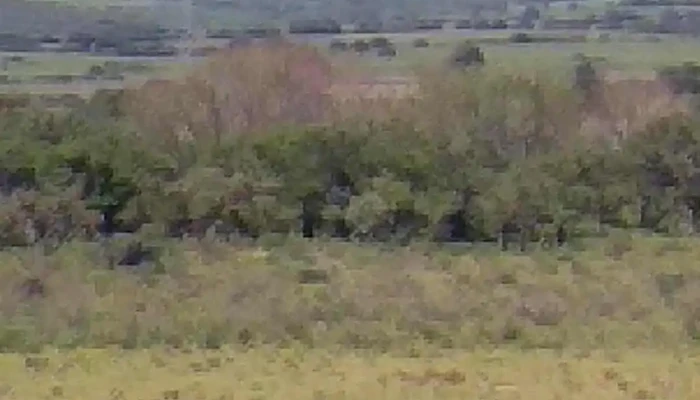 Ancap -  Videos - Maldonado