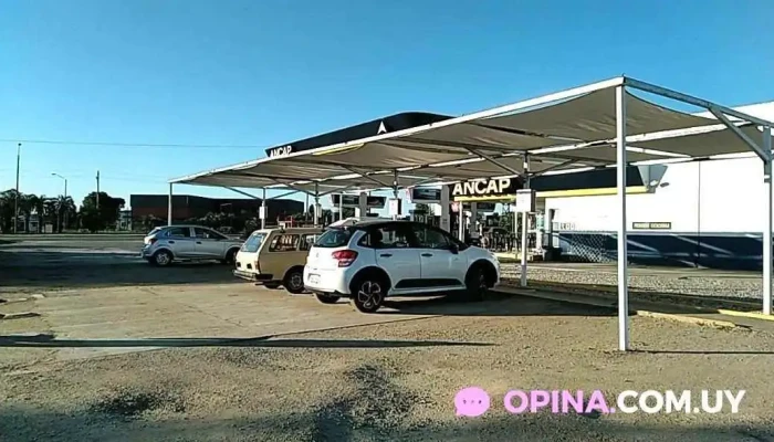 Ancap -  Videos - Rocha