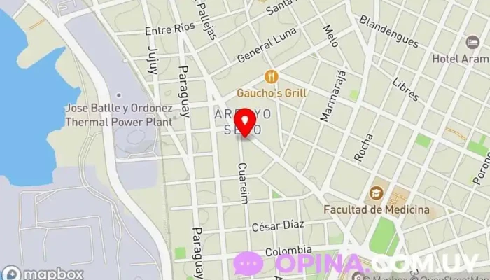 mapa de Anglo Palacio - Instituto Cultural Anglo-Uruguayo Academia de inglés en Montevideo