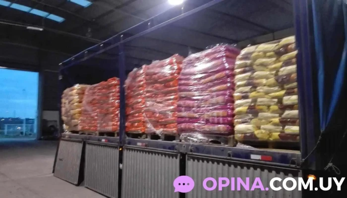 Anibal Vázquez Sa - 97000 Durazno