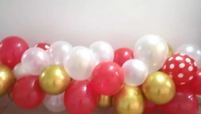 Antoa Comentario 4 - Col. del Sacramento