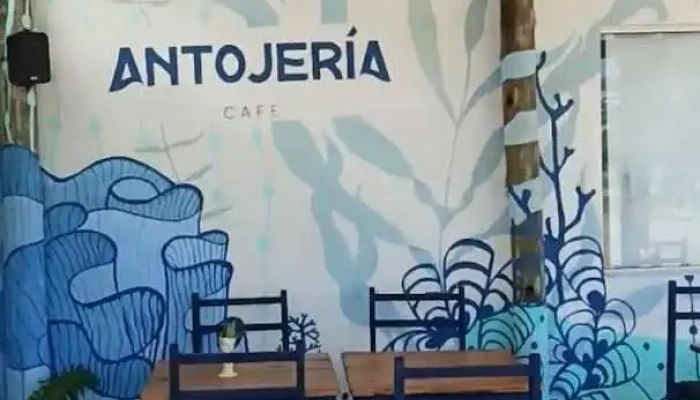 Antojeria Cafe Videos - La Paloma