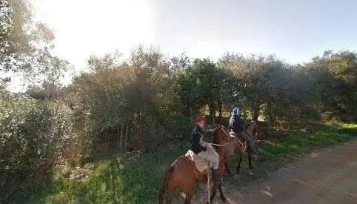 Antojito Rolls -  Street View Y 360 - Piri&aacute;polis