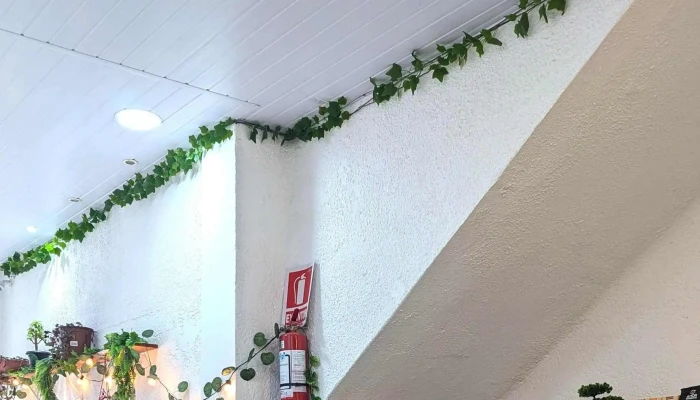 Antojos Cafe Comentario 6 - Montevideo