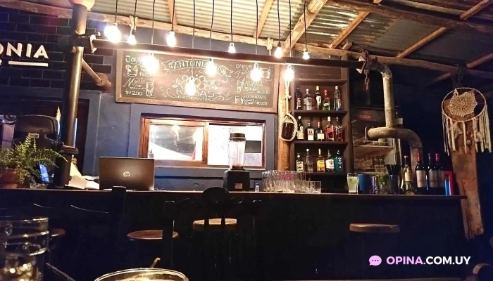 Antonia Bar -  Ambiente - La Pedrera