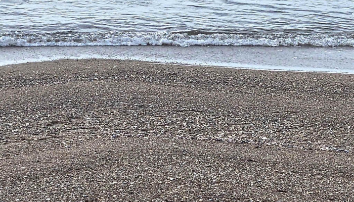 Apartamentos Alborada -  La Paloma - La Paloma