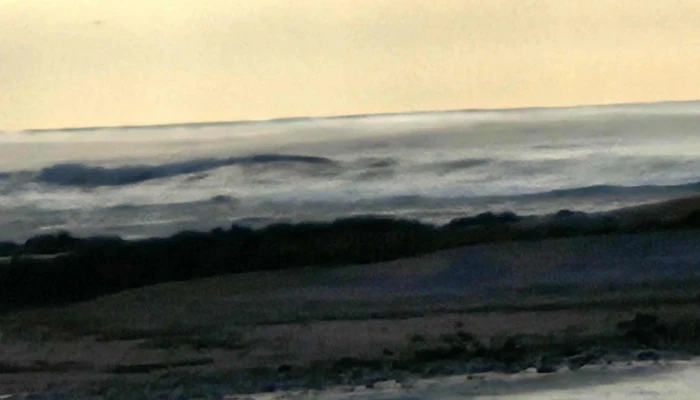 Apartamentos Alborada -  Sitio Web - La Paloma