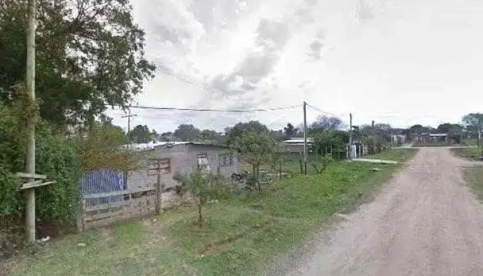 Apsilemon Fotos - Barros Blancos