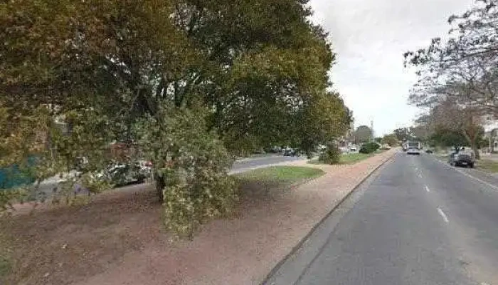 Ara Estudio -  Zona - Montevideo