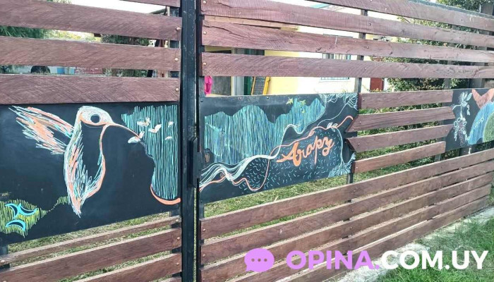 Arapy Educacion Viva Arte - Col. del Sacramento