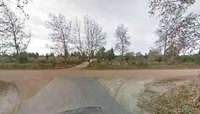 Arapy Educacion Viva Sitio Web - Col. del Sacramento