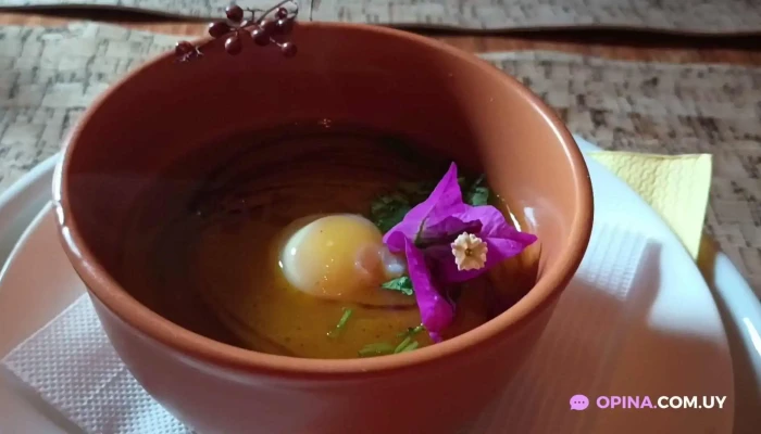 Araza Bistro Videos - Montevideo