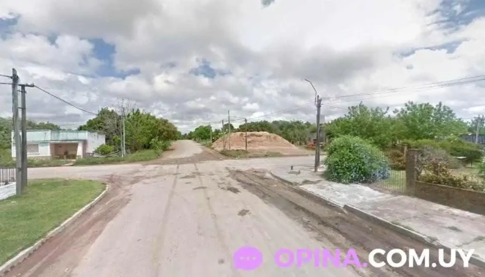 Arenera Silva - 65100 Young