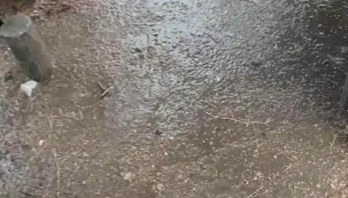 Arepas Y Empanadas Con Sabor Venezolano -  Del Propietario - Ciudad de la Costa