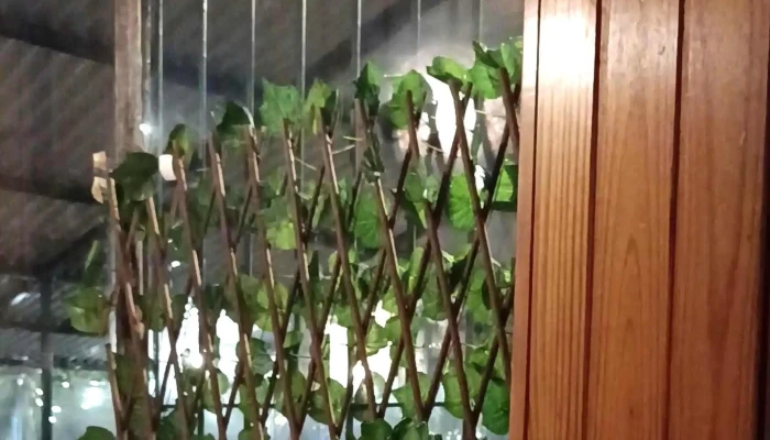 Arilurestocafe Comentario 1 - José Pedro Varela