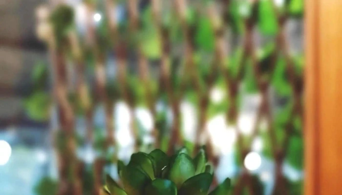 Arilurestocafe Comentario 3 - José Pedro Varela