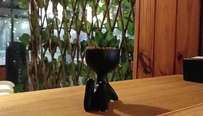 Arilurestocafe Videos - José Pedro Varela