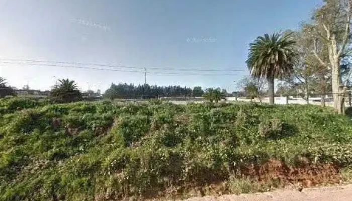 Arte Dulce -  Cerca De Mideg - Barros Blancos