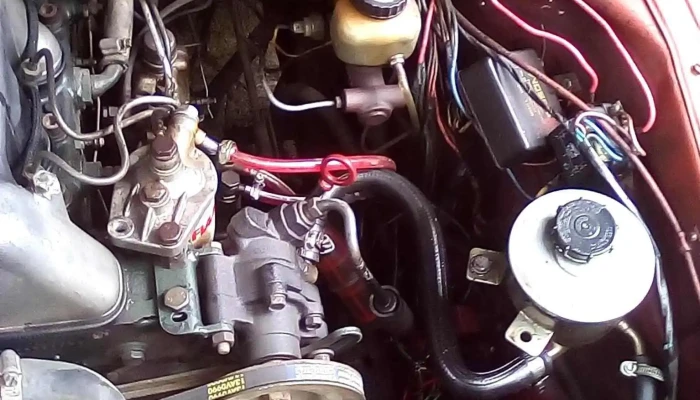 Arte Pack -  Telefono - Juan L. Lacaze