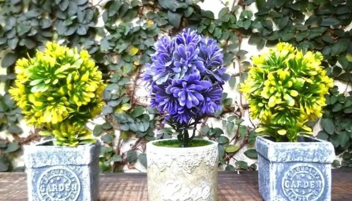 Arte Verde -  Jardin - Juan L. Lacaze