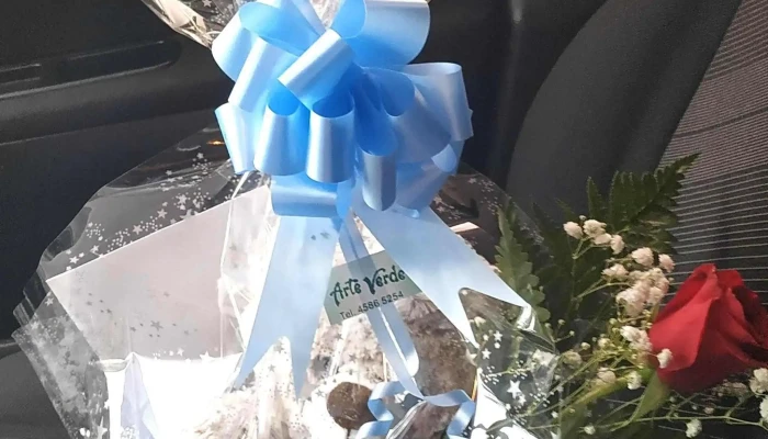 Arte Verde -  Puntaje - Juan L. Lacaze