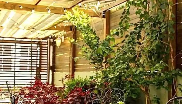 Arte Y Sabor -  Todas - Maldonado