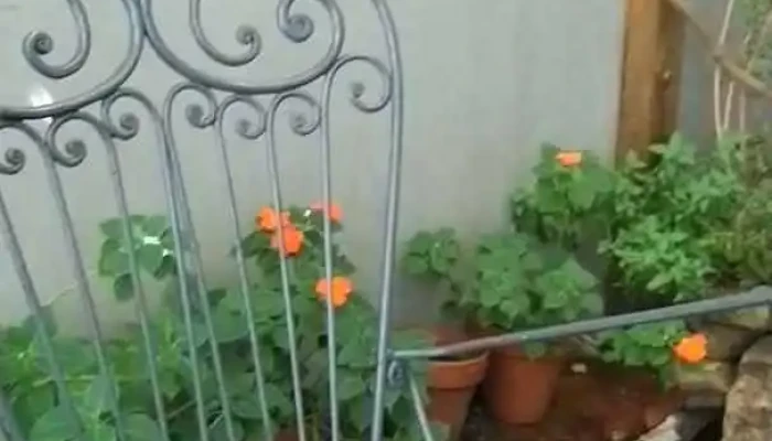 Arte Y Sabor -  Videos - Maldonado