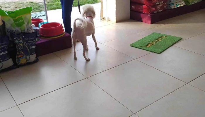 Artemisa Veterinaria - 15000 Ciudad De La Costa