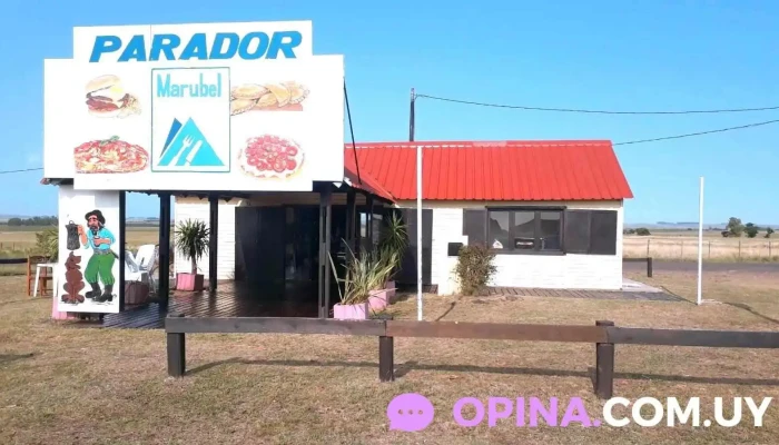 Artesanato Curtina -  Telefono - Curtina