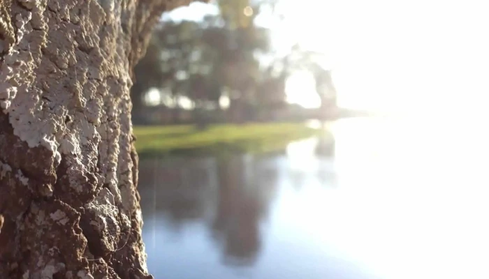 Artigas S Club Como Llegar - Melo