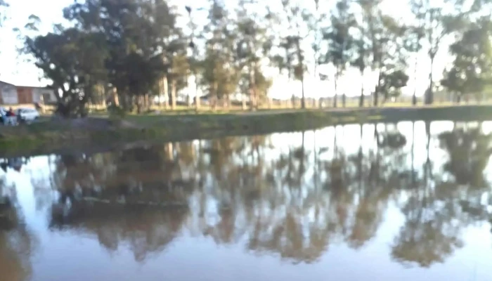 Artigas S Club Videos - Melo