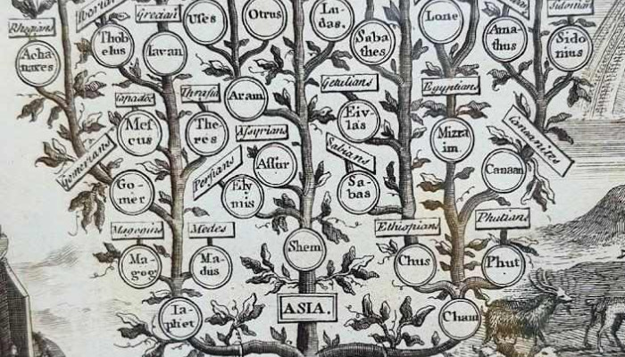 Ashot Shawarma -  Mas Recientes - Montevideo