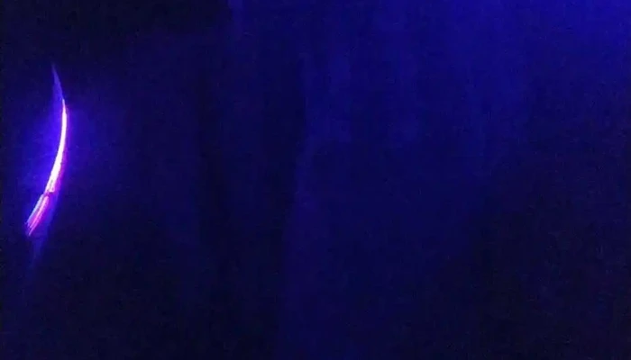 Asociacion De Tupambae Videos - Tupambaé