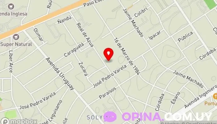 mapa de Aspen Tree School Of English Centro de educación especial en Ciudad de la Costa